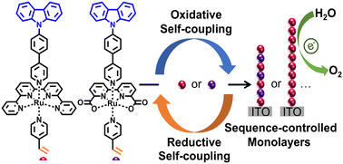 Graphical abstract: Enhancing the performance of interfacial electrocatalysts by engineering the monomer composition and sequence of metallo-oligomer monolayers