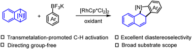 Graphical abstract: Rhodium(iii)-catalyzed oxidative [3+2] annulation of arylboron reagents and 7-azabenzonorbornadienes via transmetalation-initiated C–H activation