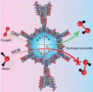 Graphical abstract: Engineering donor-functionalized covalent organic frameworks to promote photocatalytic hydrogen peroxide generation