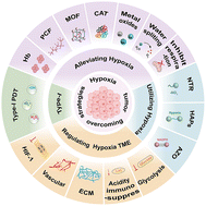Graphical abstract: Recent advances in nanophotosensitizers for overcoming tumor hypoxia in photodynamic therapy