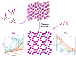 Graphical abstract: Magnetic modulation and magnetocaloric effect of lanthanide porous organic frameworks with croconic acid