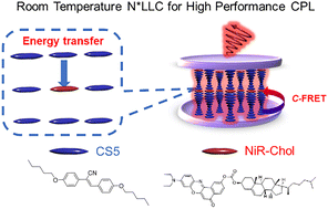 Graphical abstract: A room temperature nematic luminescent liquid crystal: a FRET donor for amplified circularly polarized luminescence
