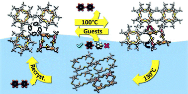Graphical abstract: Adaptive crystals of homothiacalix[4]arene capable of molecular recognition, with preferential uptake of benzene over cyclohexane