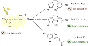 Graphical abstract: Photophysics of resveratrol derivatives for singlet oxygen formation