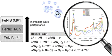 Graphical abstract: Insight into the activity and mechanism of FeNiB LDH electrocatalysts in alkaline OER via operando DRIFTS