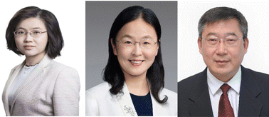 Graphical abstract: Introduction to advanced electronic chemicals