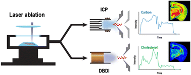 Graphical abstract: Dual mass spectrometers with plasma-based ion sources for multiplex imaging of elements and biomolecules