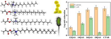 Graphical abstract: Quaternary ammonium surfmers: synthesis, characterization and antibacterial performance