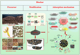 Graphical abstract: Progress in biochar derived adsorbents: preparation, modification strategies, and applications in remediation of antibiotics from wastewater