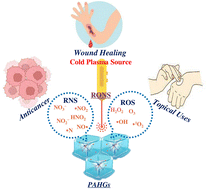 Graphical abstract: Synergistic integration of hydrogels and cold plasma for biomedical applications and therapeutics