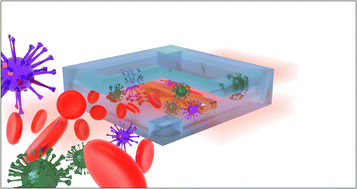 Graphical abstract: Sensitive terahertz plasmonic metasurface biosensor integrated with microfluidics