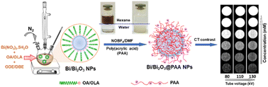 Graphical abstract: Ultrasmall Bi/Bi2O3 nanoparticles as biocompatible and efficient CT imaging contrast agents
