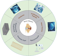Graphical abstract: The application and challenges of antimicrobial drug-loaded scaffold materials for the treatment of bone infections