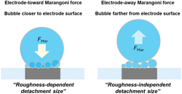 Graphical abstract: Combined effects of electrode morphology and electrolyte composition on single H2 gas bubble detachment during hydrogen evolution reaction