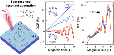 Graphical abstract: Optical spin polarization by coherent magnetoabsorption generation