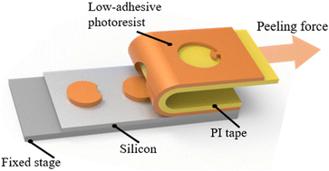 Graphical abstract: Asymmetric fractures enabled fracture diodes via dry patterning