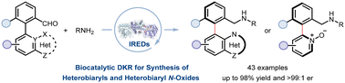 Graphical abstract: Biocatalytic atroposelective synthesis of heterobiaryls and heterobiaryl N-oxides via dynamic kinetic resolution