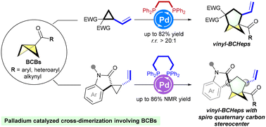 Graphical abstract: Palladium-catalyzed double strain-release (3 + 3) cycloaddition for the synthesis of vinylbicyclo[3.1.1]heptanes