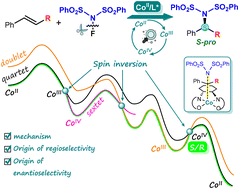 Graphical abstract: Cobalt-catalyzed enantioselective radical hydroamination of alkenes with N-fluorobenzenesulfonimides: theoretical insight of enantio-determining SN2-like reductive elimination