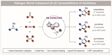 Graphical abstract: Monodentate halogen bond activation of aziridines in formal [3 + 2] cycloadditions