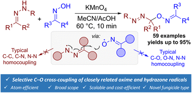Graphical abstract: Cross-dehydrogenative C–O coupling of oximes with hydrazones: synthesis of fungicidal azo-oxime ethers