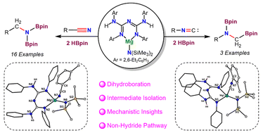 Graphical abstract: Bis-guanidinate magnesium amide-catalyzed hydroboration of nitriles and isocyanides via a substrate-assisted pathway