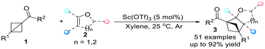 Graphical abstract: Lewis acid-mediated intermolecular [2π + 2σ] cycloaddition between enol ethers and bicyclo[1.1.0]butanes