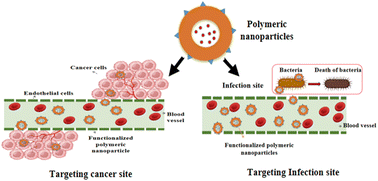 Graphical abstract: Polymeric nanomaterials as a drug delivery system for anticancer and antibacterial infections: a review