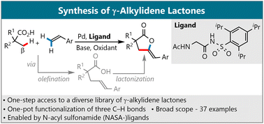 Graphical abstract: Synthesis of γ-alkylidene lactones via molecular stitching of carboxylic acids and olefins