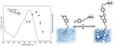 Graphical abstract: Wavelength-resolved heterodimer [2 + 2] photocycloadditions for reversible surface grafting