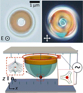 Graphical abstract: Hybridization of colloidal handlebodies with singular defects and topological solitons in chiral liquid crystals