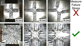 Graphical abstract: Controlling the local compliances of cruciform samples to probe equibiaxial failure