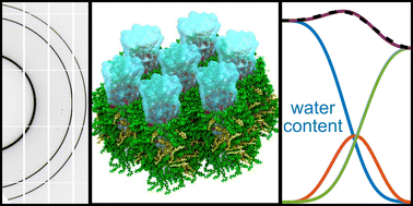 Graphical abstract: Combining SAXS analysis and MD simulation to determine structure and hydration of ionizable lipid hexagonal phases