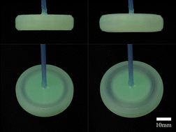 Graphical abstract: Tuning the size and stiffness of inflatable particles