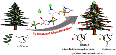 Graphical abstract: From α-pinene feedstock to value-added products: scalable and recyclable copper(ii) catalysts for allylic oxidation