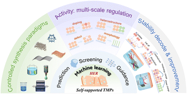 Graphical abstract: Beyond activity: from machine learning screening to stability decoding on the study of self-supported metal phosphides in alkaline hydrogen evolution reaction
