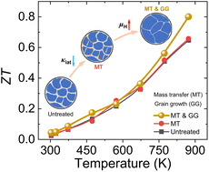 Graphical abstract: Mass transport and grain growth enable high thermoelectric performance in polycrystalline SnS