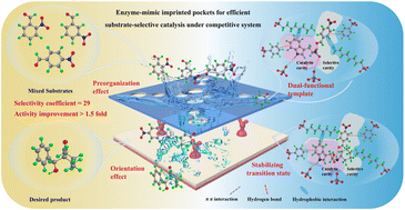 Graphical abstract: In situ engineered matched pockets for efficient substrate-selective catalysis in complex mixtures: synergistic binding-catalysis in magnetic imprinted nanoreactors