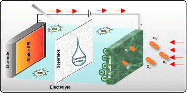 Graphical abstract: Stability challenges in non-aqueous Li–O2 batteries and their protective strategies: a comprehensive review on electrode and electrolyte engineering