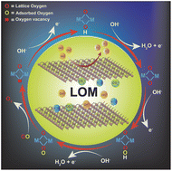 Graphical abstract: Structure–activity correlation in layered double hydroxides: facilitating oxygen evolution through the lattice oxygen mechanism
