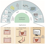 Graphical abstract: Recent advances and biomedical applications of conductive hydrogels for wound repair