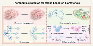 Graphical abstract: Advanced regenerative biomaterials for ischaemic stroke: a comprehensive therapeutic strategy