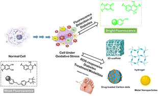 Graphical abstract: Application of nanomaterial-based fluorescent probes for diabetes detection and care triggered by reactive oxygen species
