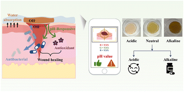 Graphical abstract: A pH-responsive anthocyanin-based hydrogel with colorimetric infection monitoring and antibacterial properties for wound healing