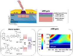 Graphical abstract: Shortwave infrared organic phototransistors with improved performance via conjugated polymer blends and a metal reflector gate architecture