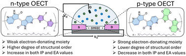 Graphical abstract: Impact of donor modification on azaisoindigo-based polymers for n- and p-type organic electrochemical transistors