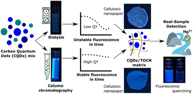 Graphical abstract: The impact of quantum dot purification methods on sensing performance for heavy metal detection in environmental pollution monitoring