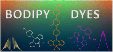 Graphical abstract: Versatile BODIPY dyes for advanced optoelectronics: random lasing, harmonics generation, and OLED application