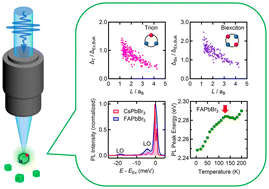 Graphical abstract: Size-dependent photophysical properties of individual halide perovskite nanocrystal quantum dots