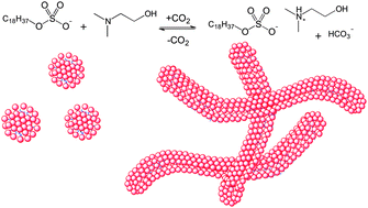 Graphical abstract: Switchable viscosity triggered by CO2 using smart worm-like micelles
